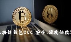 探索美图区块链钱包BEC：安全、便捷的数字资产