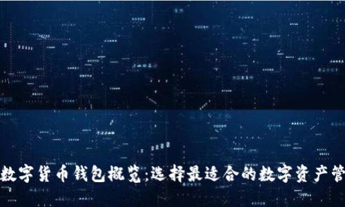 伊拉克数字货币钱包概览：选择最适合的数字资产管理工具
