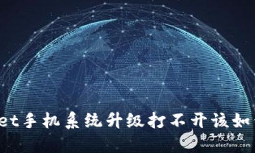 TPWallet手机系统升级打不开该如何解决？