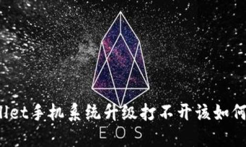 TPWallet手机系统升级打不开该如何解决？