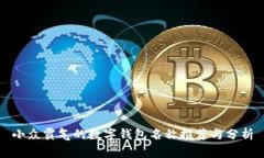小众霸气的数字钱包名称推荐与分析