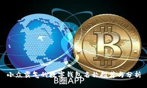 小众霸气的数字钱包名称推荐与分析
