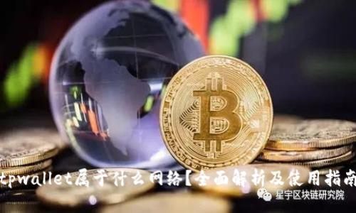tpwallet属于什么网络？全面解析及使用指南