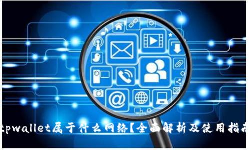 tpwallet属于什么网络？全面解析及使用指南