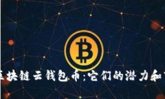 即将上市的区块链云钱包