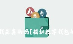 TPWallet上的钱是真的吗？揭
