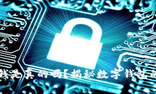 TPWallet上的钱是真的吗？揭秘数字钱包的安全性与风险