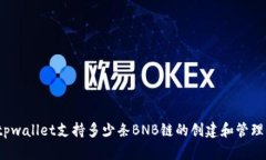 tpwallet支持多少条BNB链的创