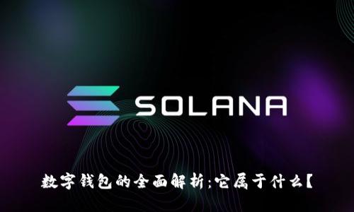 数字钱包的全面解析：它属于什么？