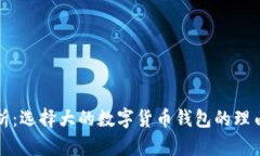 全面解析：选择大的数字