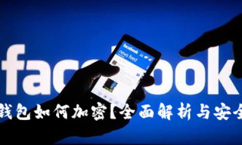 货币钱包如何加密？全面解析与安全策略