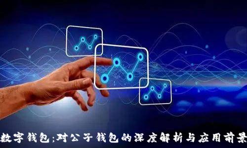   
数字钱包：对公子钱包的深度解析与应用前景