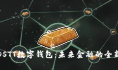 探索DSTT数字钱包：未来金
