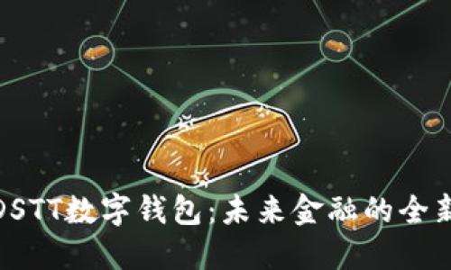 探索DSTT数字钱包：未来金融的全新选择