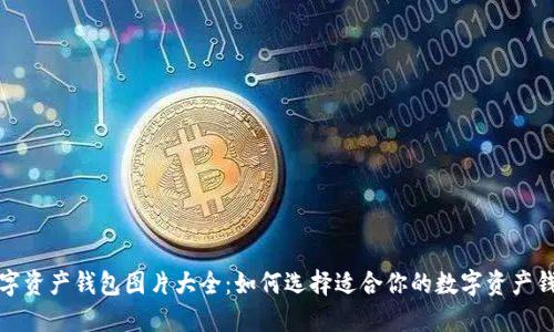 数字资产钱包图片大全：如何选择适合你的数字资产钱包