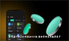 如何在TPWallet中添加BSC链，