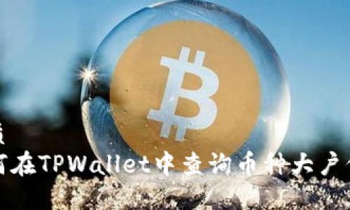 优质
如何在TPWallet中查询币种大户信息