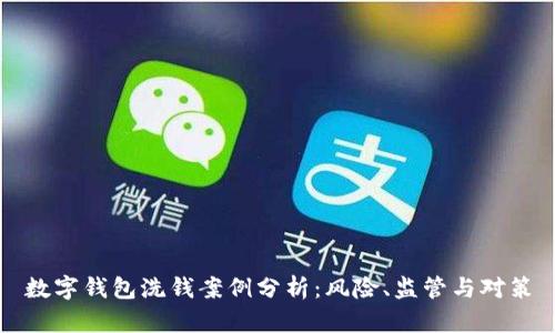 数字钱包洗钱案例分析：风险、监管与对策