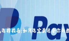 数字钱包选择指南：如何