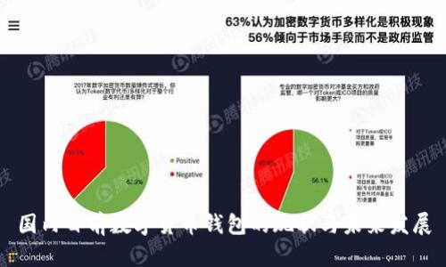 国内目前数字货币钱包的现状与未来发展