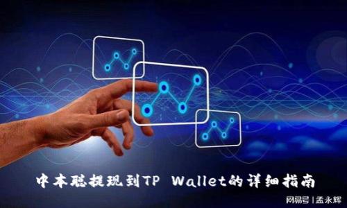 中本聪提现到TP Wallet的详细指南