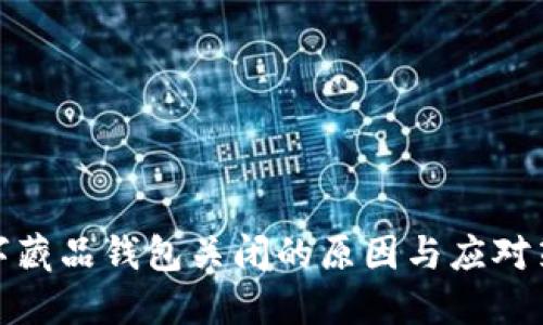 数字藏品钱包关闭的原因与应对策略