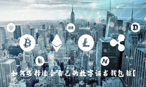 如何选择适合自己的数字证书钱包锁？