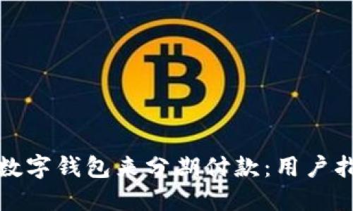 选择最佳数字钱包来分期付款：用户指南与推荐
