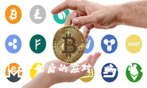 TPWallet下架后的应对策略与解决方案