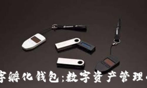   
CToken数字孵化钱包：数字资产管理的新风向标