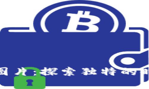 数字皮雕钱包图片：探索独特的时尚与实用结合
