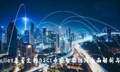 TPWallet是否支持BSC(币安智