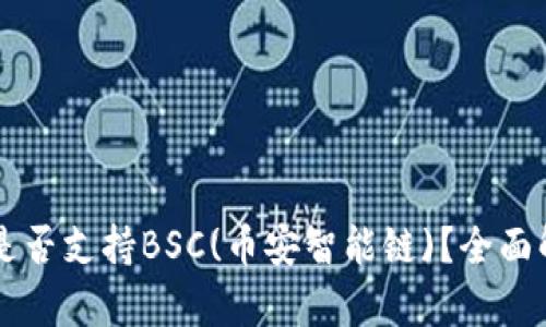TPWallet是否支持BSC(币安智能链)？全面解析与指南