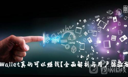 TPWallet真的可以赚钱？全面解析与用户体验分享