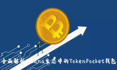 :全面解析Solana生态中的