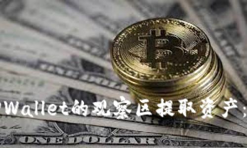 如何从TPWallet的观察区提取资产：完整指南