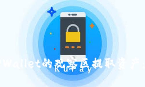 如何从TPWallet的观察区提取资产：完整指南