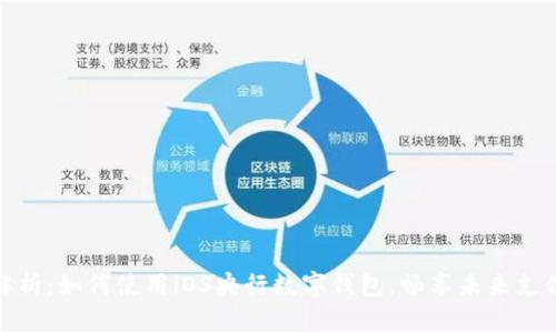 全面解析：如何使用iOS央行数字钱包，畅享未来支付体验