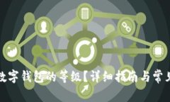 如何查看数字钱包的等级
