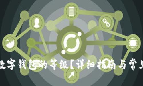 如何查看数字钱包的等级？详细指南与常见问题解答