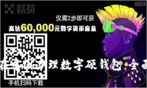 如何在中国办理数字硬钱包：全面指南