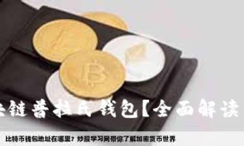 什么是区块链普拉氏钱包？全面解读与应用前景