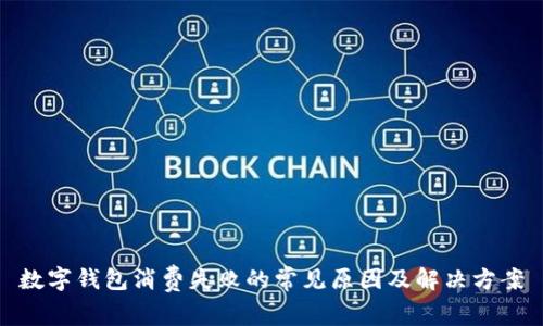 数字钱包消费失败的常见原因及解决方案