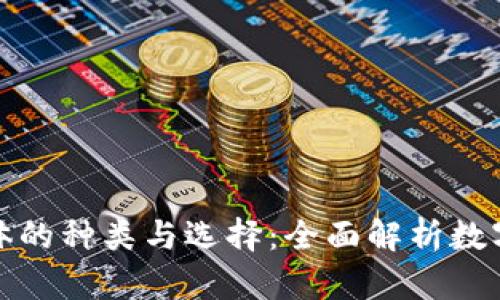 数字钱包载体的种类与选择：全面解析数字支付的未来