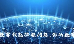如何应对数字钱包限额问