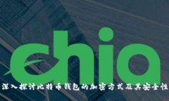 深入探讨比特币钱包的加