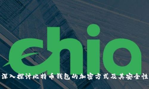 深入探讨比特币钱包的加密方式及其安全性