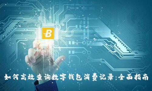 如何高效查询数字钱包消费记录：全面指南