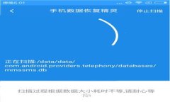 莱特币能否存入TPWallet？全