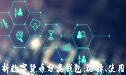 
全面解析数字货币分类钱包：选择、使用与安全